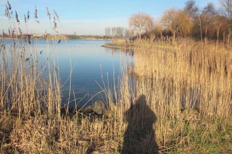 Expat Life Walk and Talk coaching ToolenburgerPlas