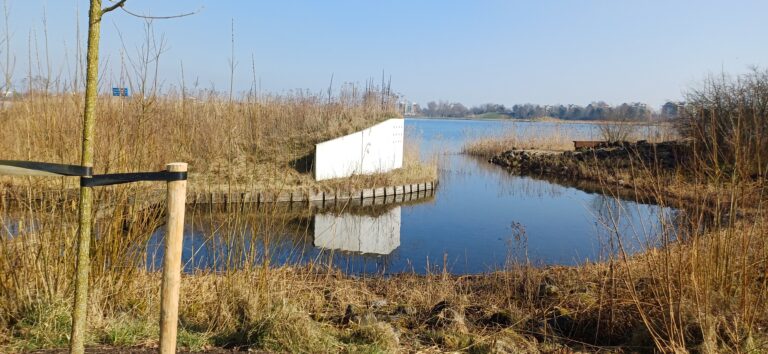 caroline pinter wandelcoaching toolenburgerplas Hoofddorp
