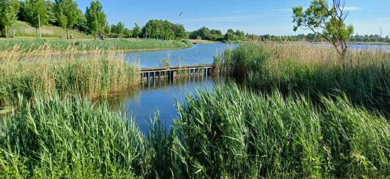 caroline pinter wandelcoaching toolenburgerplas Hoofddorp
