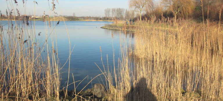 caroline pinter wandelcoaching toolenburgerplas Hoofddorp