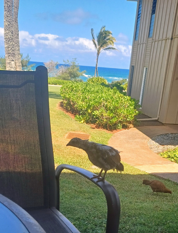 Blog 3