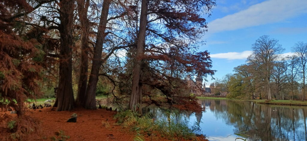 Kasteel de Haar wandelcoaching Caroline Pinter