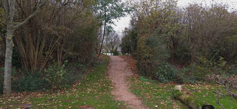 ieder pad bewandelen wandelcoaching