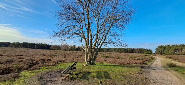 Rustmoment in de natuur met bankje. Stilstaan bij jezelf en balans vinden bij stress