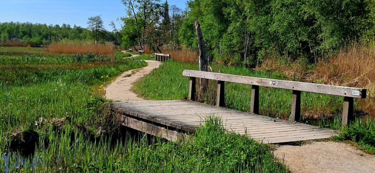 Poel Amsterdamse Bos in Amstelveen