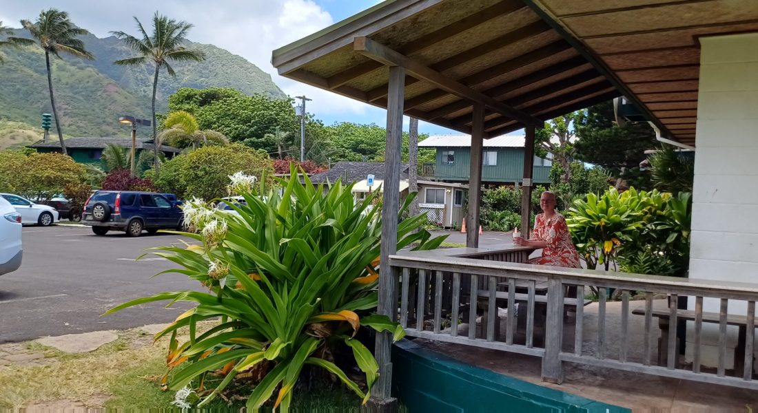 Kauai roosters chickens Caroline Pinter Walk and Talk Wandelcoaching Haarlemmermeer