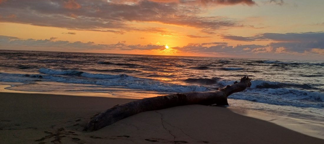 spontaan naar de Florida Keys blog Caroline Pinter