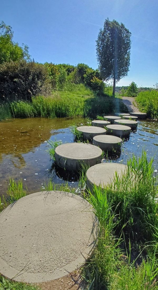 Wandelcoaching Caroline Pinter Toolenburgerplas Hoofddorp