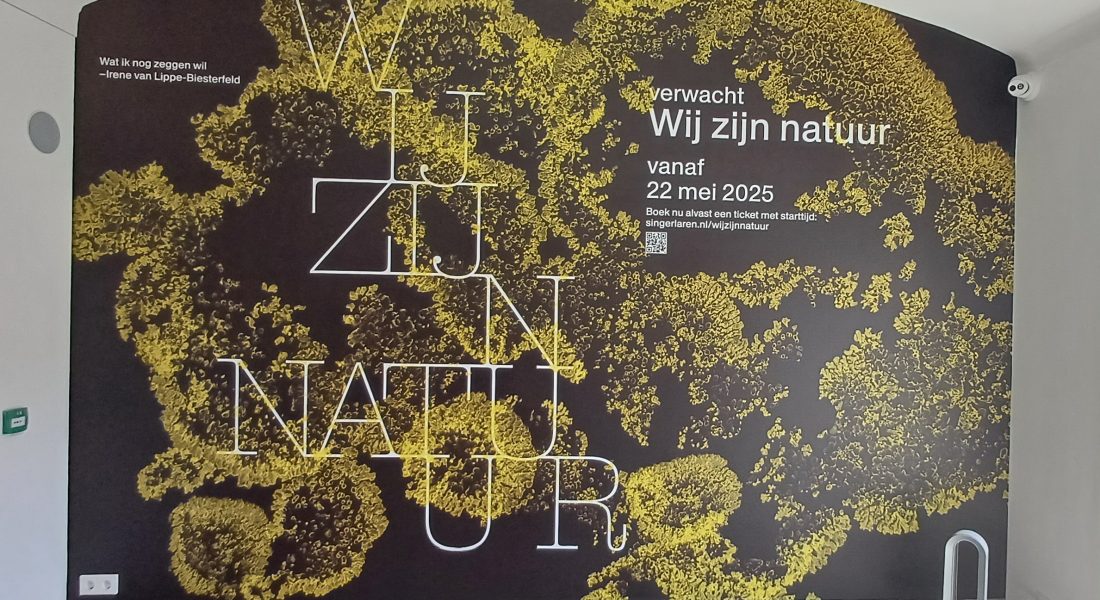 caroline pinter wandelcoaching laren singer museum