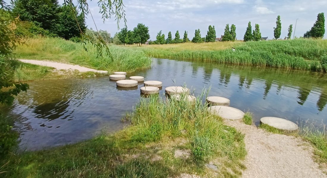 202caroline pinter wLoslaten Oversteken Ontvangen wandelcoaching Toolenburgerplas Haarlemmermeer caroline pinter wandelcoaching andelcoaching toolenburgerplas Hoofddorp50622_153807 Loslaten Oversteken Ontvangen wandelcoaching Toolenburgerplas Haarlemmermeer caroline pinter wandelcoaching
