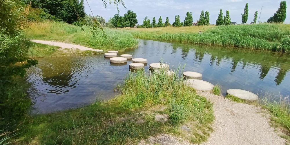 Caroline Pinter Wandelcoaching Haarlemmermeer en Amstelveen Stiltewandeling Ontdek de natuur in 7 stappen Toolenburgerplas