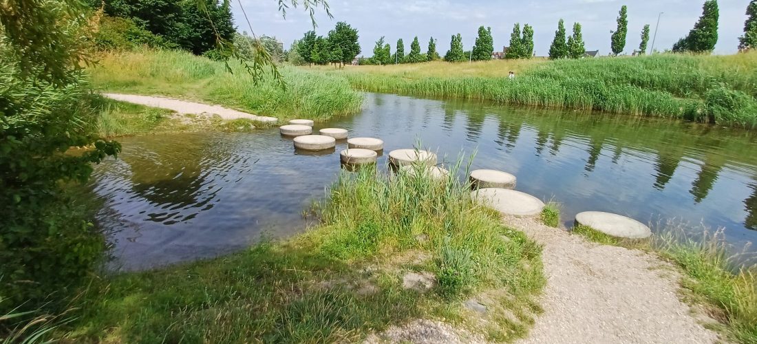 wandelcoaching groepswandelingen Haarlemmermeer Caroline Pinter