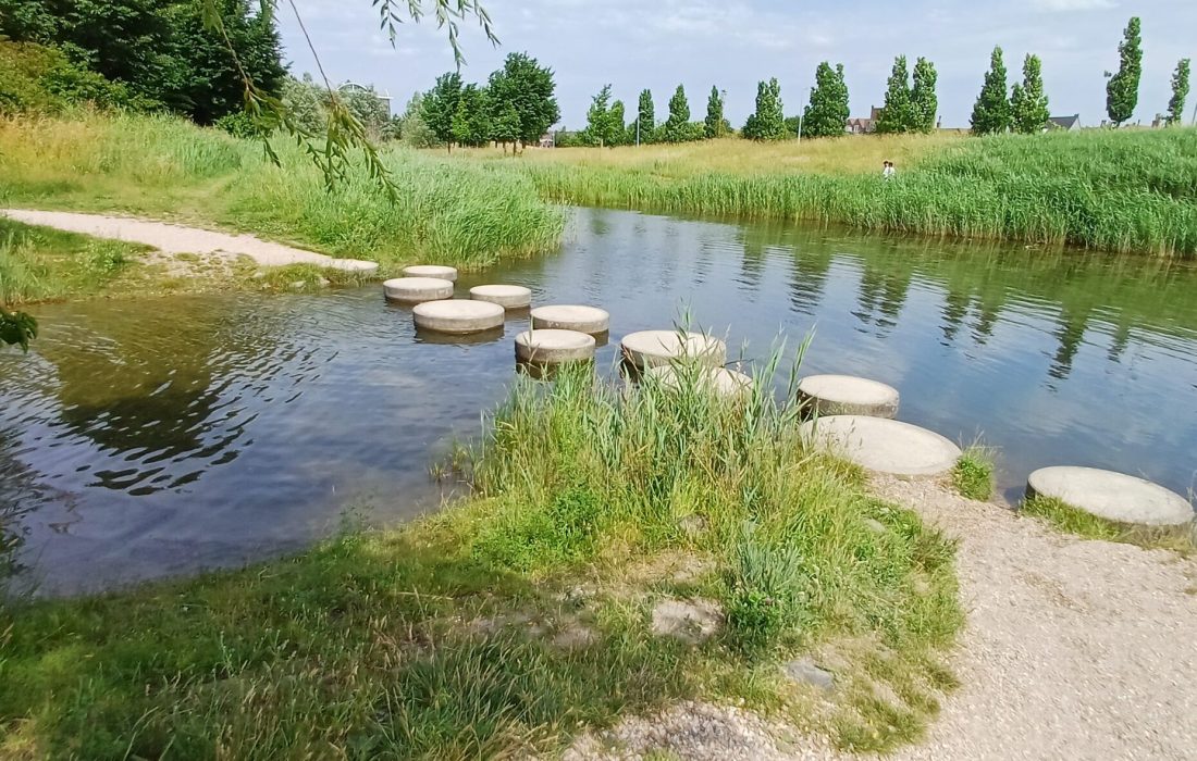 wandelcoaching groepswandelingen Haarlemmermeer Caroline Pinter