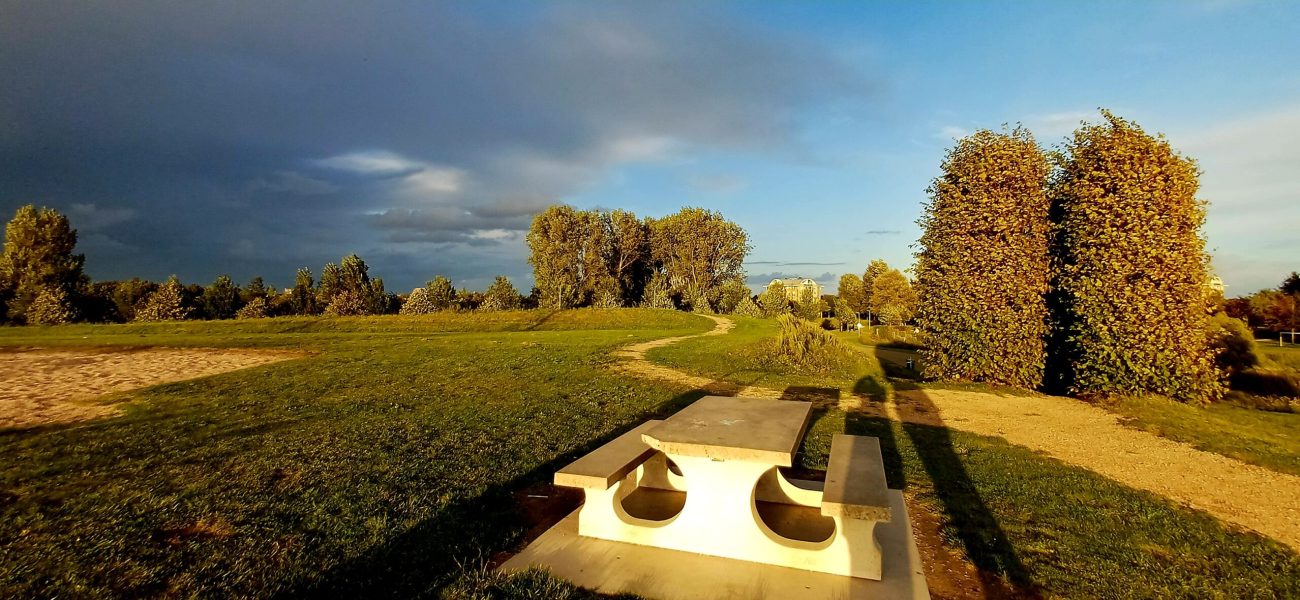 wandelcoaching groepswandelingen Haarlemmermeer Caroline Pinter