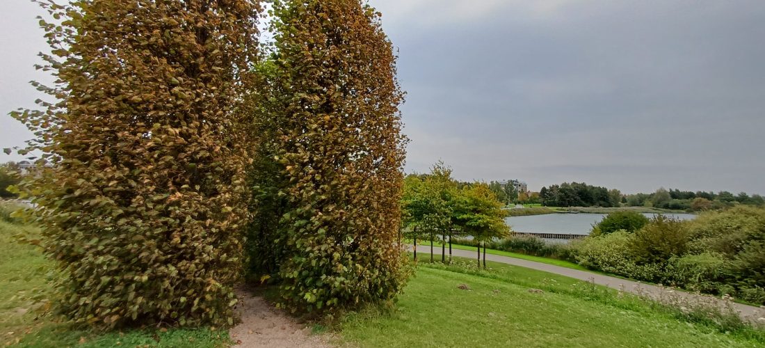 wandelcoaching groepswandelingen Haarlemmermeer Caroline Pinter