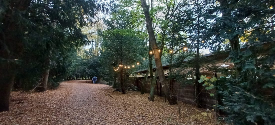 Dankbaarheidswandeling 2026 Amsterdamse Bos