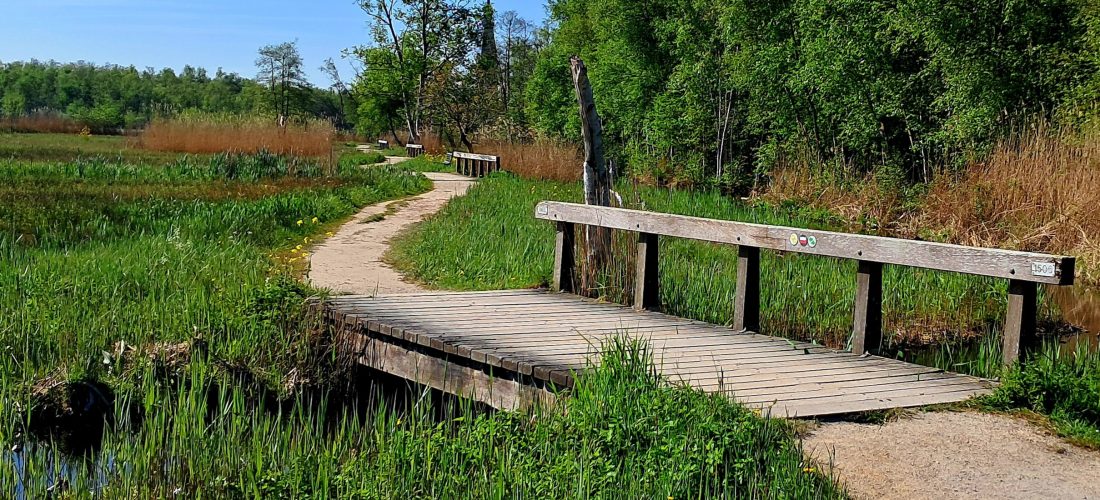 Poel Amsterdamse Bos in Amstelveen