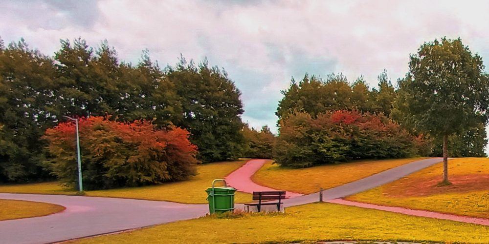 Wandelkruispunt waar je kunt voelen welk pad bij je past.