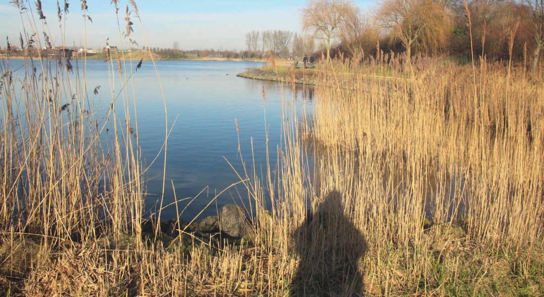 caroline pinter wandelcoach Haarlemmermeer Toolenburgerplas