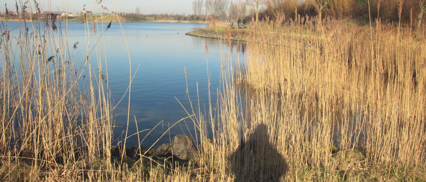 Expat Life Walk and Talk coaching ToolenburgerPlas