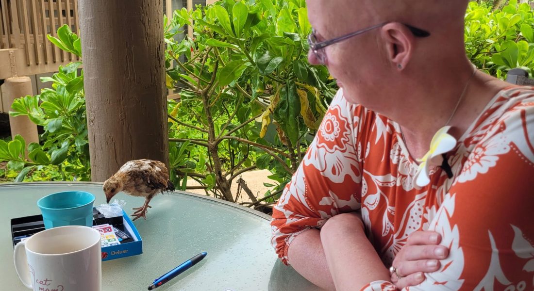 Kauai roosters chickens Caroline Pinter Walk and Talk Wandelcoaching Haarlemmermeer