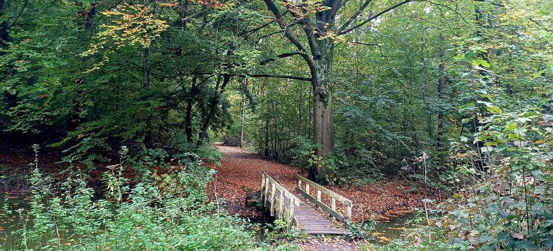 beleveniswandeling Caroline Pinter Wandelcoach