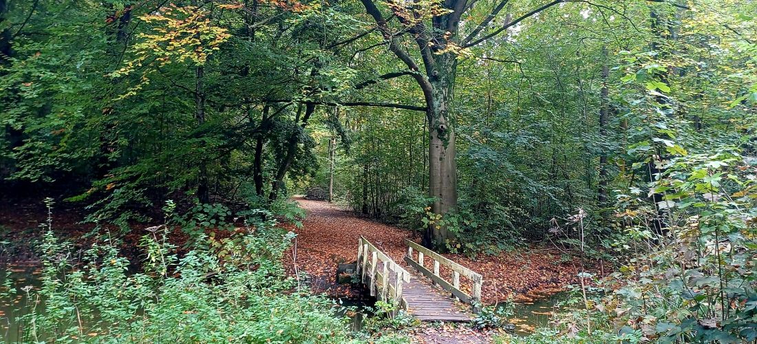 Brug en moment van reflectie op wat mag blijven en waar je kracht ligt in 2026