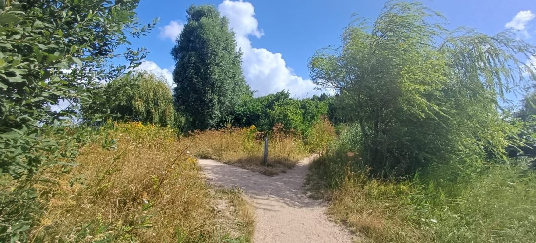 Wandelpad dat zich in twee richtingen splitst, symbool voor een nieuwe keuze