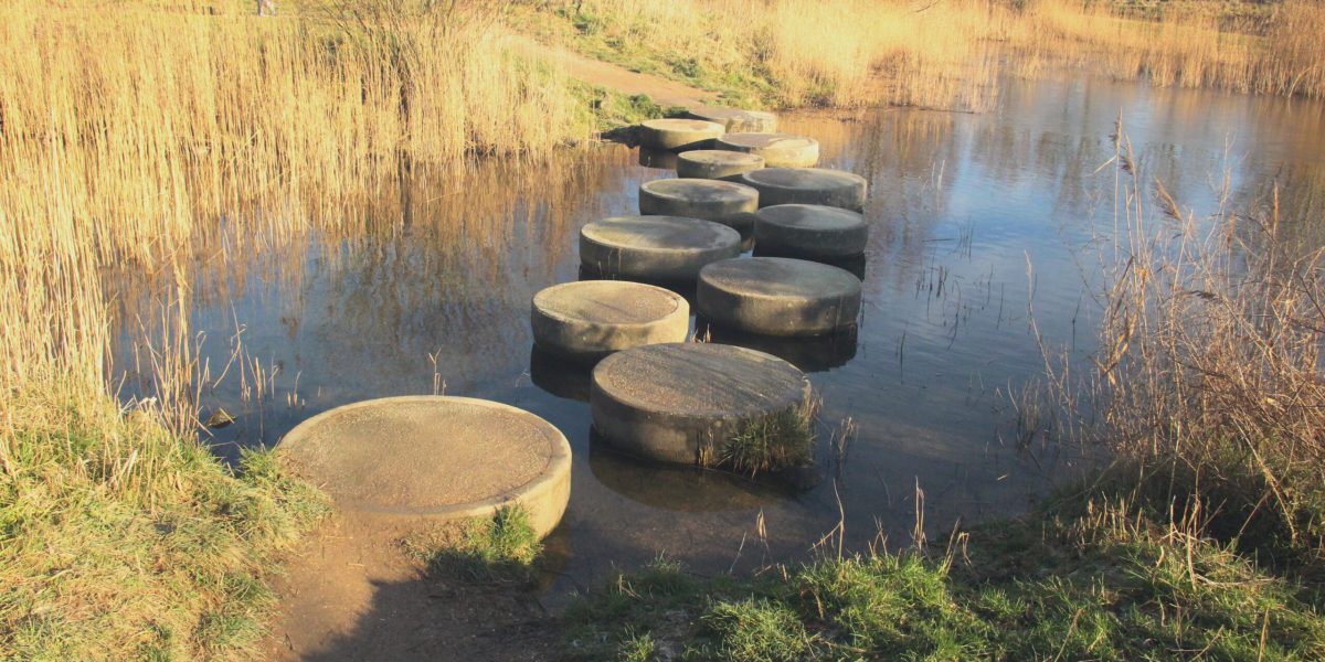 IMG_784Caroline Pinter Wandelcoaching Haarlemmermeer en Amstelveen Stiltewandeling Ontdek de natuur in 7 stappen Toolenburgerplas8 Caroline Pinter Wandelcoaching Haarlemmermeer en Amstelveen Stiltewandeling Ontdek de natuur in 7 stappen Toolenburgerplas