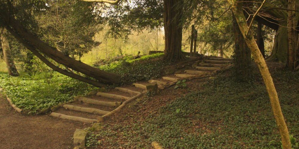 Wandelcoaching Caroline Pinter Haarlemmermeer Amsterdamse Bos