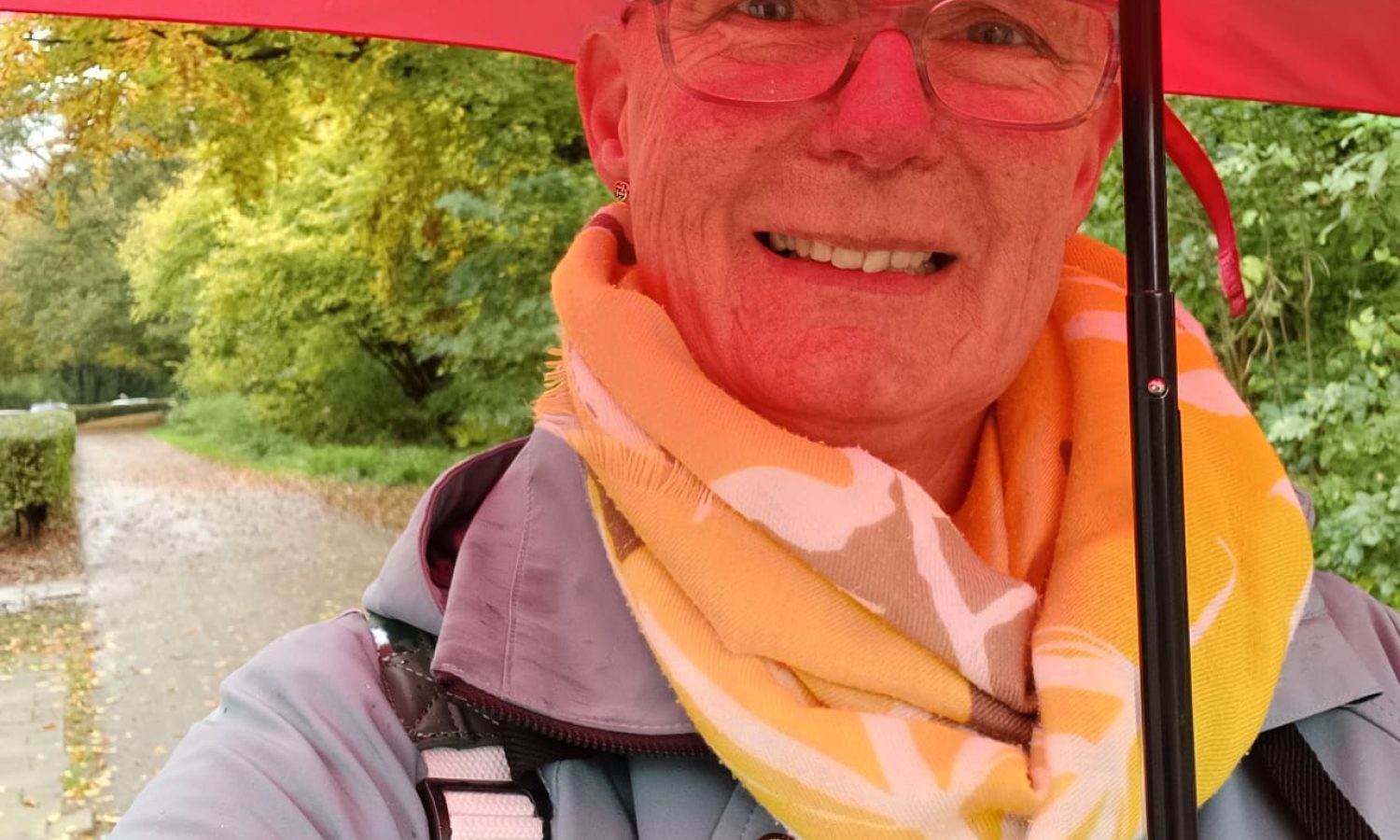 De kracht van de natuur ervaren tijdens een regenwandeling