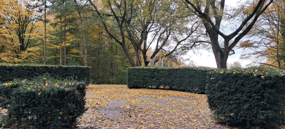 Reflectiemoment tijdens wandelcoaching in het Amsterdamse Bos