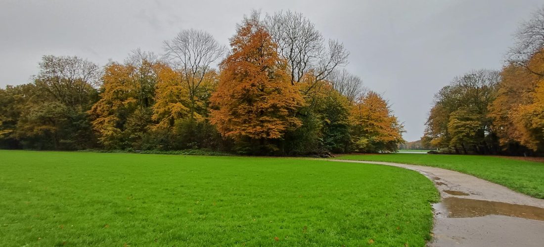 Stilte, ademruimte en bewustwording tijdens een wandeling door het bos
