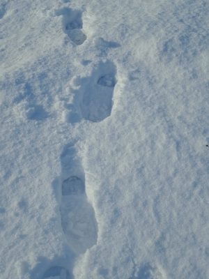 Voetsporen in de sneeuw, uitnodiging om even stil te staan en je eigen pad te voelen