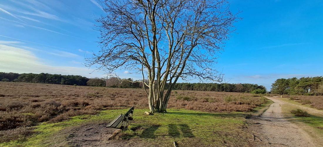 Rustmoment in de natuur met bankje. Stilstaan bij jezelf en balans vinden bij stress