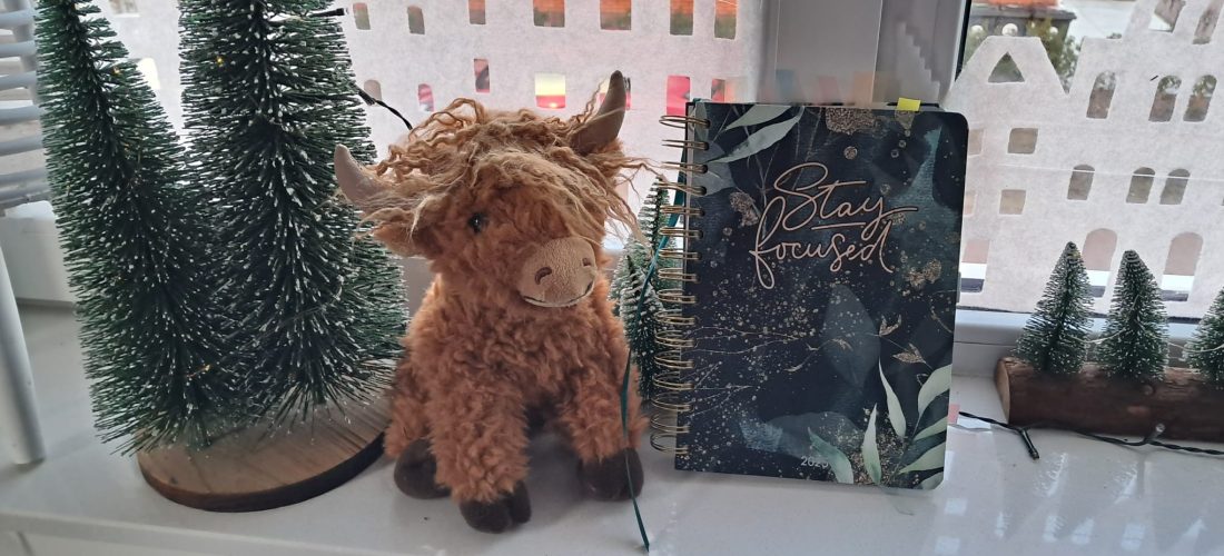 Mijn dankbaarheidsboekje 2025 met Schotse hooglander in wintersfeer, symbool voor dankbaarheid