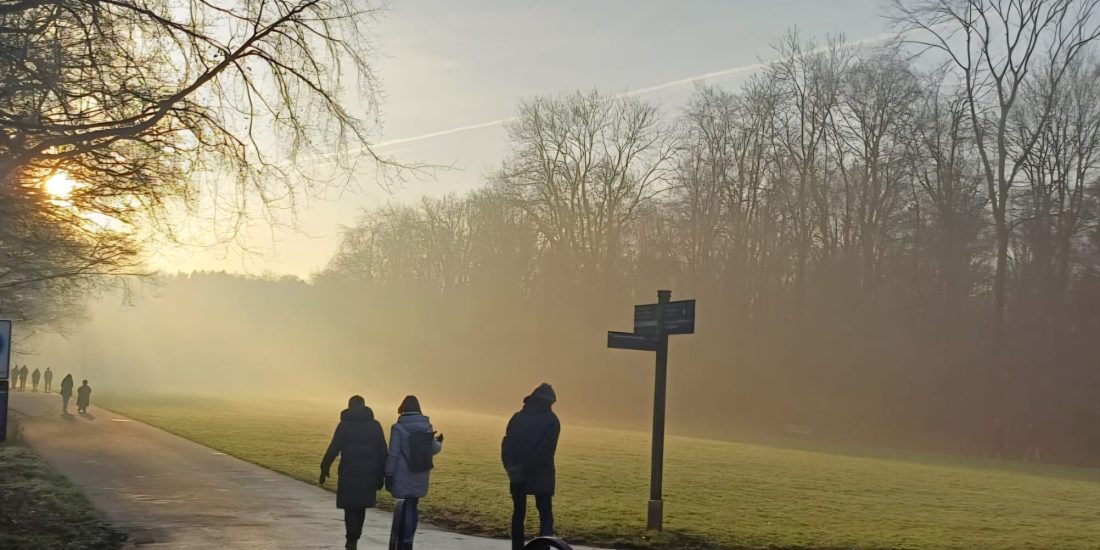 Wandelcoaching in de natuur. Ervaringen van deelnemers in groeps- en 1-op-1 wandelingen