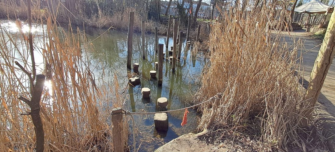 Houten stapstenen in het water tussen riet, als pad om over te steken