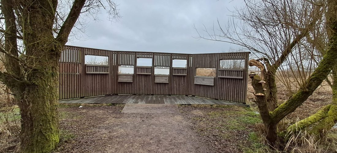 Observatiehut met uitzicht over water in de Oostvaardersplassen