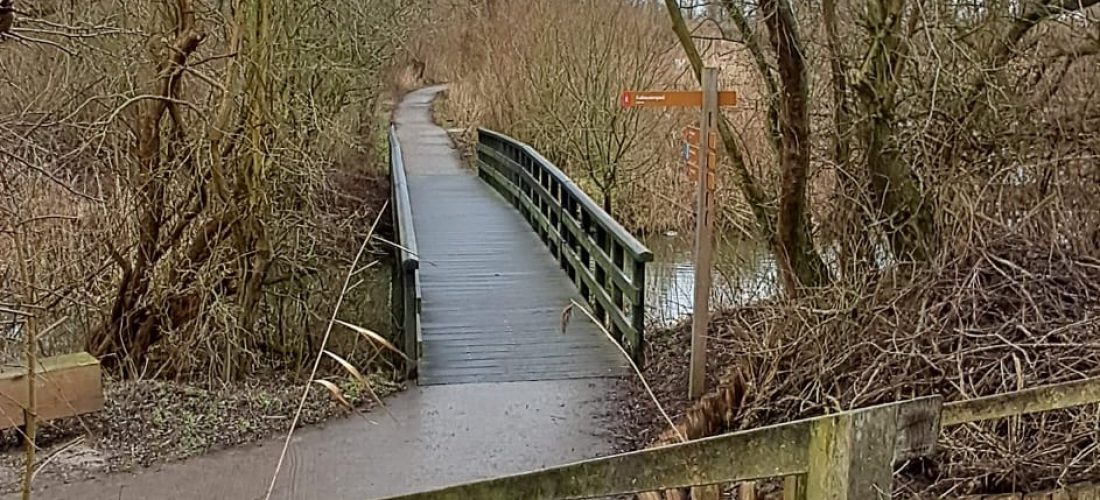 Wandelpad in de Oostvaardersplassen