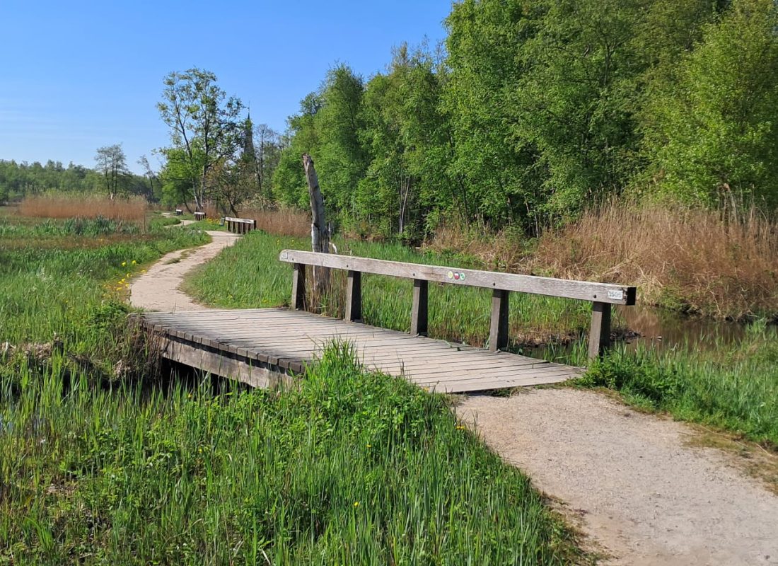 Poel Amsterdamse Bos in Amstelveen