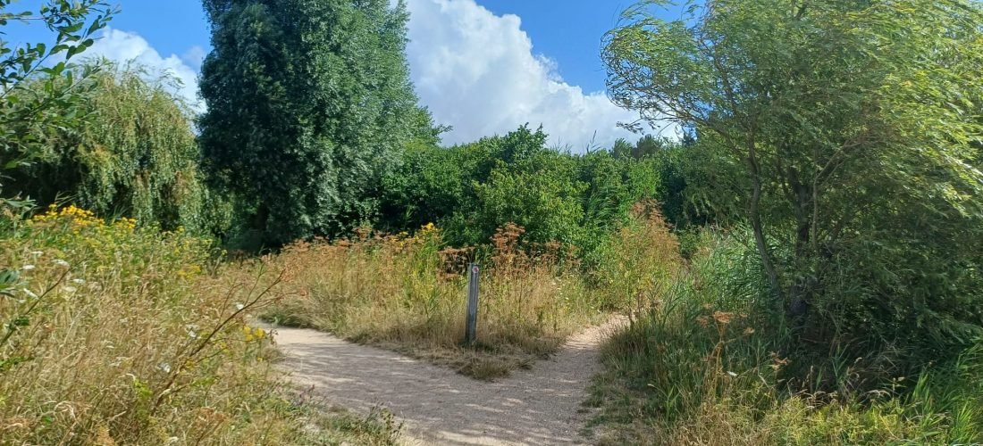 Reflectie en nieuwe keuzes tijdens een groepswandeling