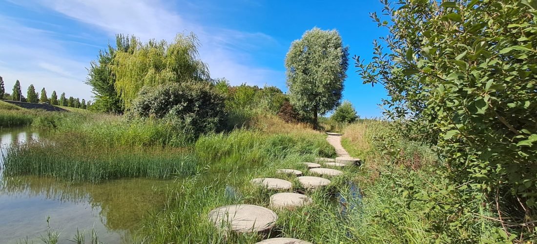 Groepswandeling rond de Toolenburgerplas met stepping stones en reflectie