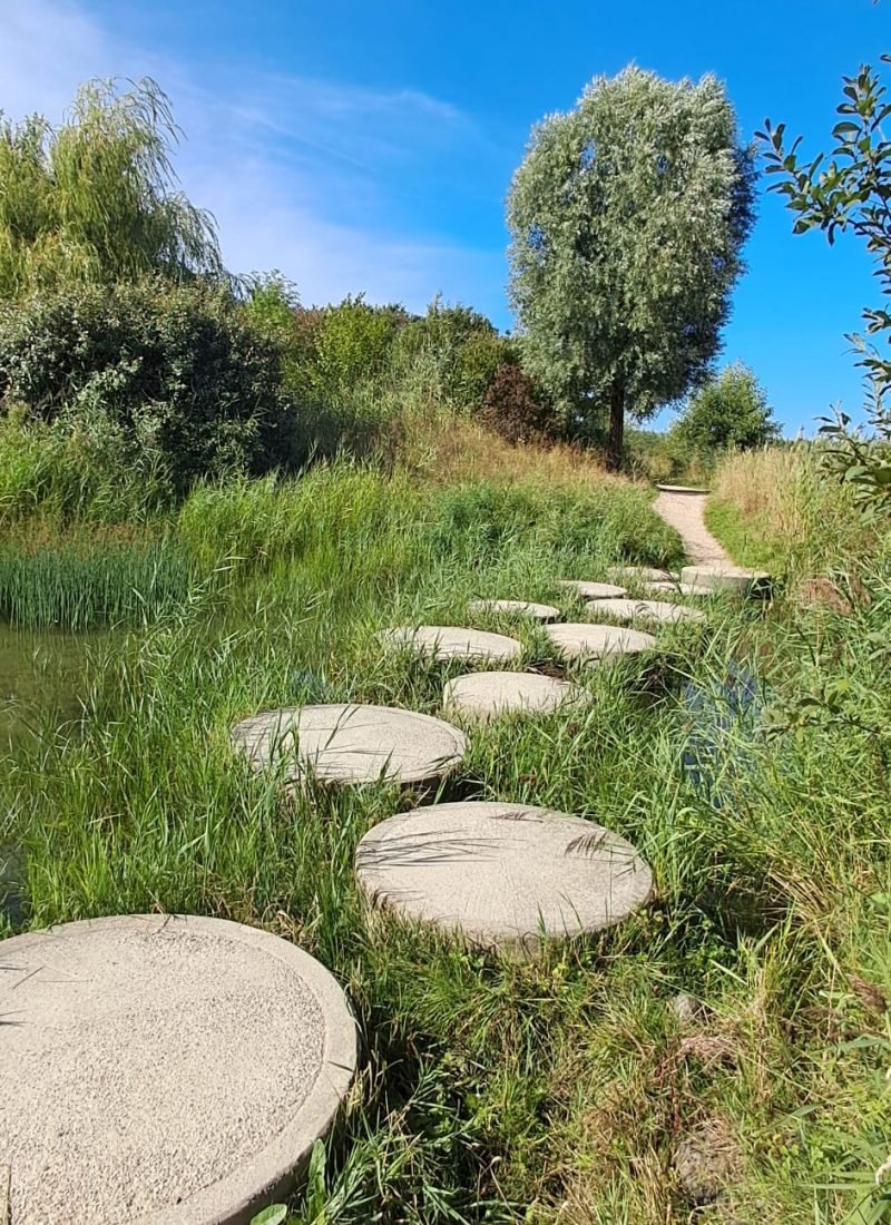 Groepswandeling rond de Toolenburgerplas met stepping stones en reflectie