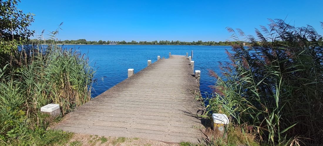 Groepswandeling rond de Toolenburgerplas met stepping stones en reflectie