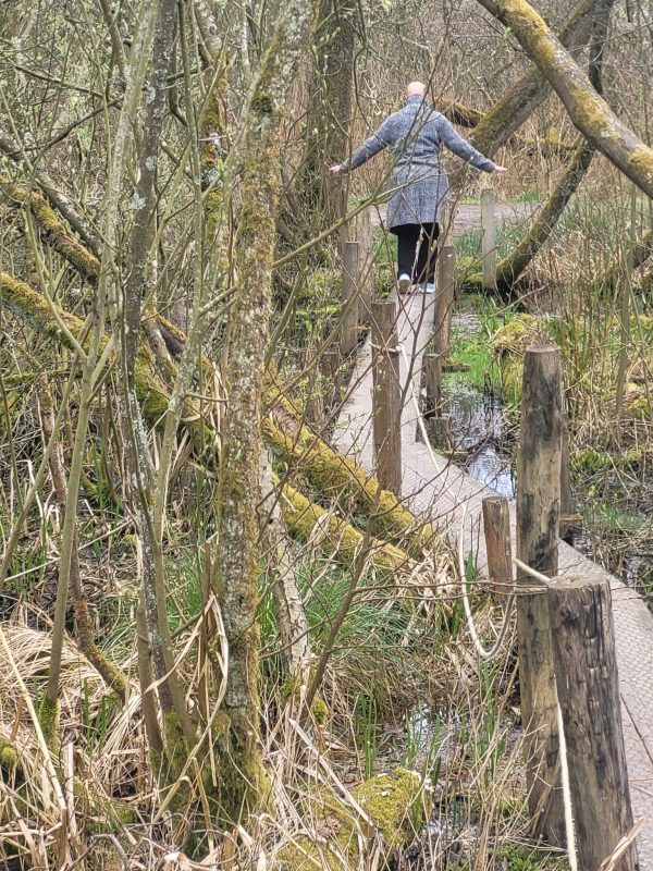 Balanceren over een smalle plank tussen bomen, een voorzichtig begin van het pad en groei.