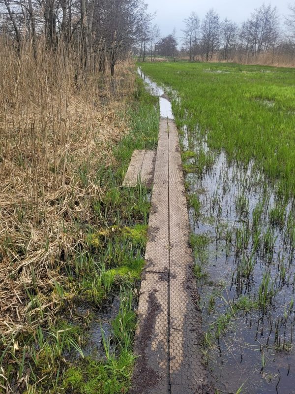 Pad dat langzaam onder water loopt in het gras, maar nog steeds begaanbaar blijft