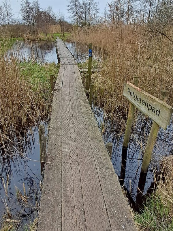 Leeg pad dat recht vooruit loopt, tussen verwachting en onzekerheid in